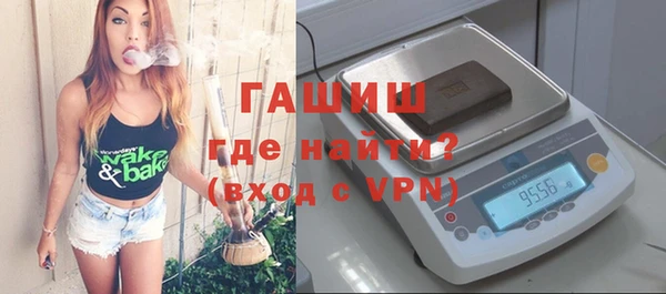 гидра Богданович