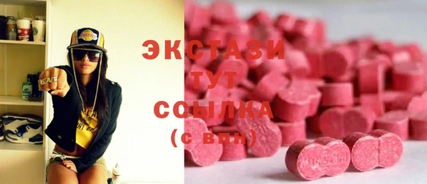 гидра Богданович