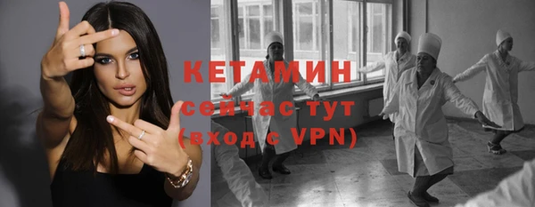 гидра Богданович