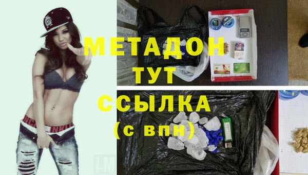 гидра Богданович