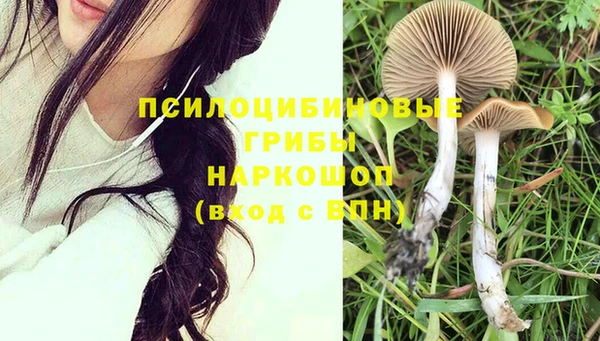 гидра Богданович