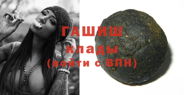 гидра Богданович