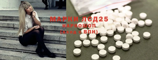 гидра Богданович