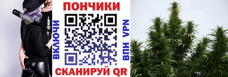 Канабис семена Купить закладки Ядрин